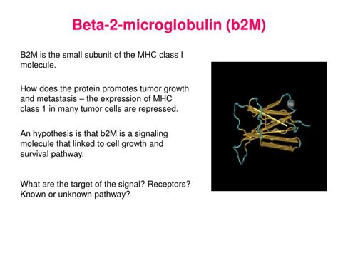 beta-2 microglobulin|The Implication and Significance of Beta 2 Microglobulin: A .